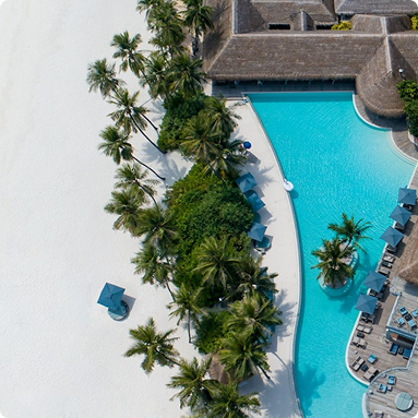 Luxury pool with palm trees